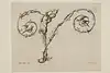 Thumbnail image 2