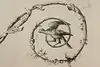 Thumbnail image 8