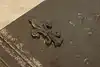Thumbnail image 12