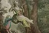 Thumbnail image 7