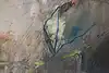 item thumbnail 10