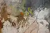 item thumbnail 11