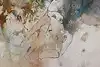 item thumbnail 6