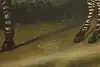 Thumbnail image 10