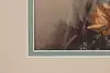 Thumbnail image 6