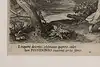Thumbnail image 14