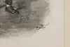 Thumbnail image 7