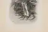 Thumbnail image 4