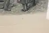 Thumbnail image 9