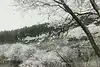 Thumbnail image 9