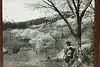 Thumbnail image 6