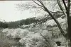 Thumbnail image 8