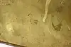 Thumbnail image 12