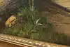item thumbnail 14