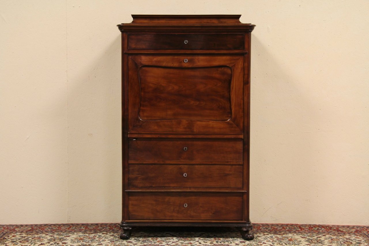 Austrian Antique 1840 Fruitwood Armoire