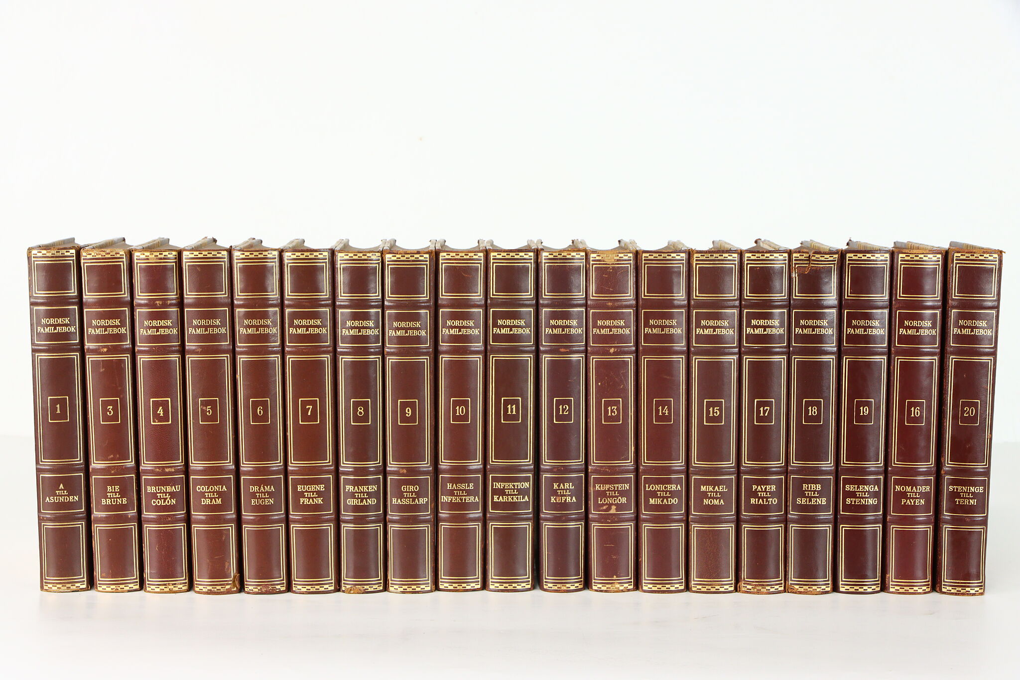 Set of 19 Swedish Gold Tooled Leatherbound Vintage Encyclopedia Books