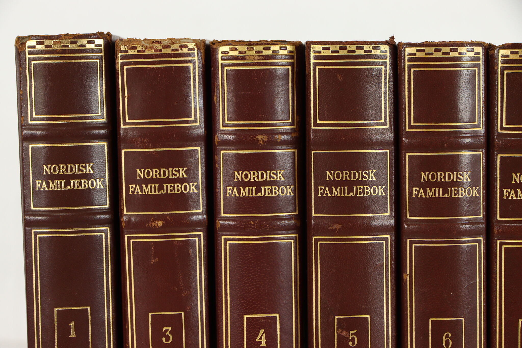 Set of 19 Swedish Gold Tooled Leatherbound Vintage Encyclopedia Books