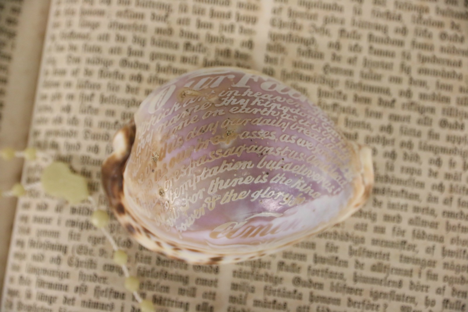 Carved Lord's Prayer on Cowrie Sea Shell