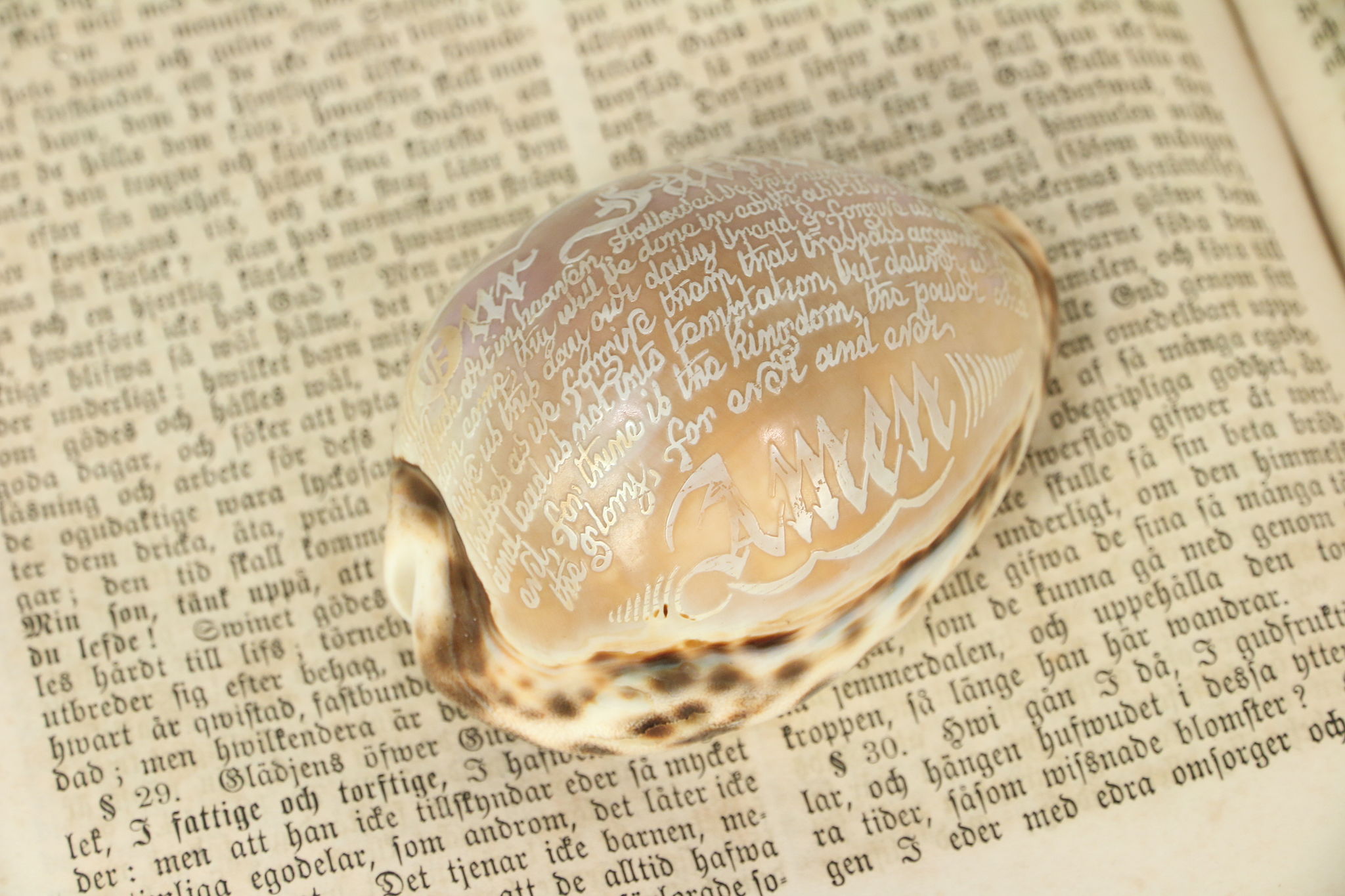 Seashell Scriptures Carved Lord's Prayer on Cowrie Sea Shell