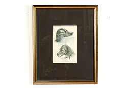 Hunting Hounds Antique Scottish Colored Engraving After Stewart 13" #39405