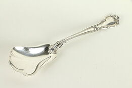 Chantilly Gorham Sterling Silver 6" Sauce or Cranberry Serving Spoon #32448