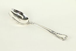 Chantilly Gorham Sterling Silver 8 1/2" Slotted Serving Spoon #32452