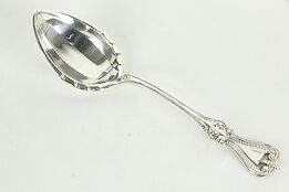 Towle Old Colonial Sterling Silver Sugar Shell or Serving Spoon 5 7/8"  #34472