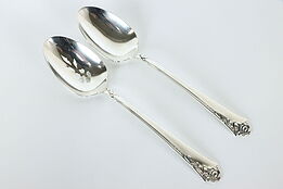 Pair Scalloped Sterling Silver Heirloom Damask Rose Serving Spoons, 8.25" #37226