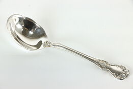 Sterling Silver Towle Old Master Jelly Serving Spoon or Sugar Shell 5.75" #38223