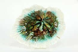 Victorian Majolica Begonia Antique 9" Leaf Plate #35527