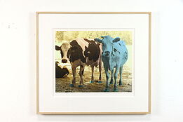 Maa and Paa Cattle Handcolored Silverprint 1988 James B. Bissell 30" #38442