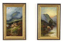 Pair of Highland Rams & Bison Scenes Vintage Oil Paintings, Thomas 22" #38369