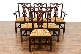Set of 6 Traditional Georgian Style Vintage Dining Chairs, New Upholstery