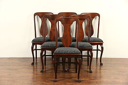 Set of 6 Empire 1900 Antique Dining Chairs, Paw Feet, New Upholstery