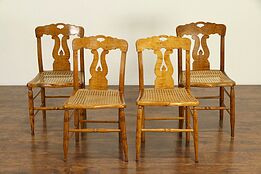 New England Curly Maple Antique 1825 Lyre Back Set of 4 Dining Chairs #30799