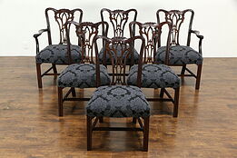 Set of 6 Georgian Design Vintage Mahogany Dining Chairs, New Upholstery #33292