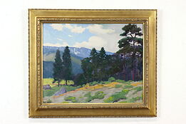 Mountain Landscape &Trees Vintage Original Oil Painting, Peterson 25" #40491