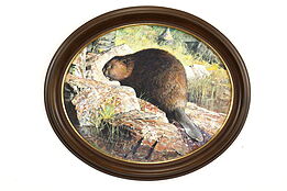 Beaver Among Rocks Vintage Original Acrylic Painting, Medcalf 26" #41149