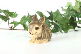 Hand Carved Vintage Painted Small Bunny Alpine Rabbit Sculpture #41566