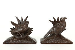 Pair of Black Forest Antique Hand Carved Bird Sculptures #41586