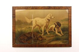 Tom, Dick, & Harry Spaniel Dogs Antique Lithograph Print, Dieker 39.5" #42897