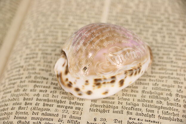 Cowrie Sea Shell Carved With The Lord's Prayer #2 photo