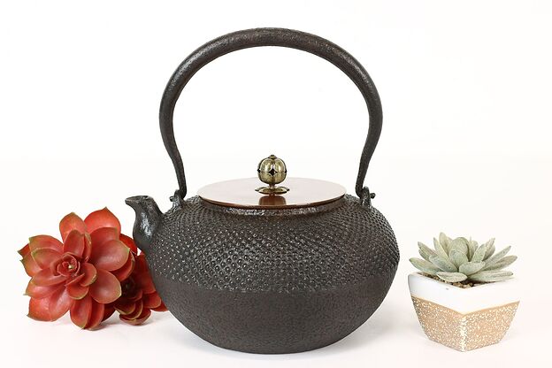 Japanese Vintage Cast Iron & Bronze Teapot or Kettle #41455 photo