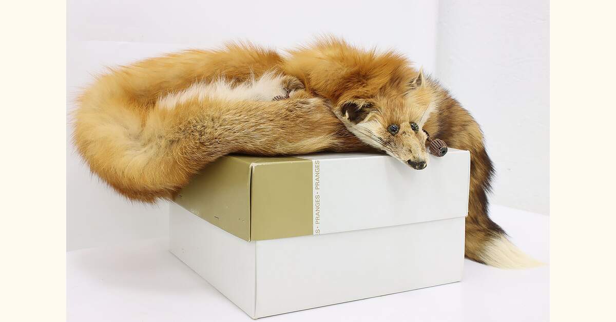 FRATELLI TALLI fox fur バラクラバ Foxy Leather Coat w/ Fox Fur In Tan -..-. ZCRAVE™ OFFICIAL ONLINE